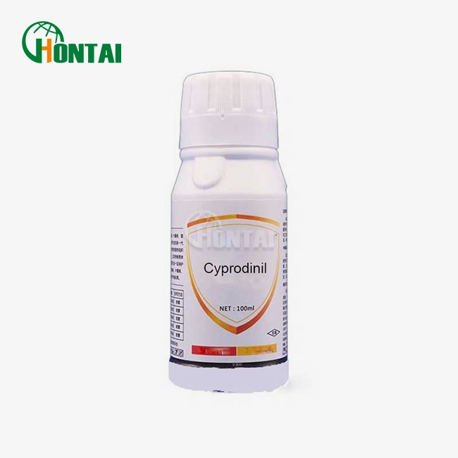 Cyprodinil 50% WDG